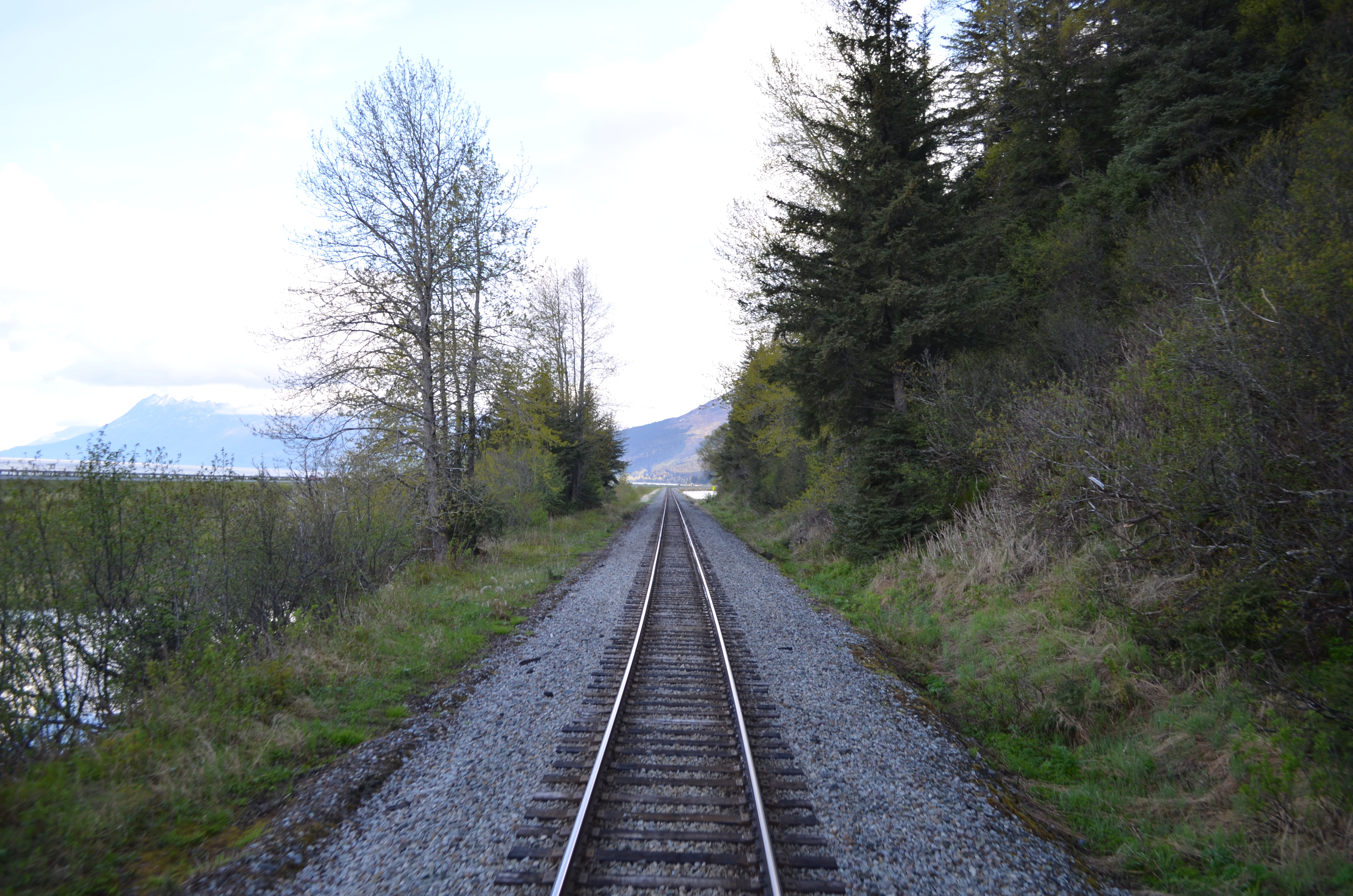 ./2017/08 - Alaska Cruise/05 - Train to Seward/DSC_0492.JPG